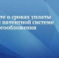 Не забудьте о сроках уплаты налога при патентной системе налогообложения - Спасский район