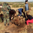 Вахта Памяти по Гражданской войне - Спасский район