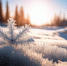 14 февраля – Трифонов день: приметы и запреты - Газета Новая жизнь