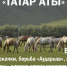 В Татарстане состоится фестиваль «Татар аты» - Газета Новая жизнь