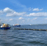 АО «Транснефть – Прикамье» за 9 месяцев 2024 года провело 1,5 тыс. плановых учебно-тренировочных занятий - Газета Новая жизнь