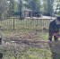 Педагоги допобразования из Болгара провели масштабный субботник - Газета Новая жизнь