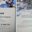 Ученица Полянской школы стала победителем двух Всероссийских конкурсов - Газета Новая жизнь