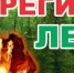Штормовое предупреждение  о высокой пожарной опасности лесов  на территории Республики Татарстан - Спасский район