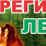 Штормовое предупреждение  о высокой пожарной опасности лесов  на территории Республики Татарстан - Спасский район