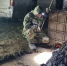 В Болгаре начаты работы по восстановлению озера Рабига - Газета Новая жизнь