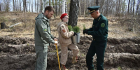 Жителей Татарстана приглашают на уборку лесного фонда - Газета Новая жизнь